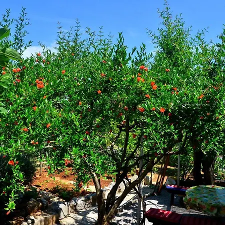 Bonbon Διαμέρισμα *