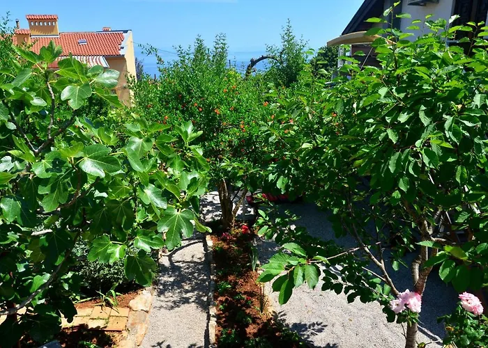 Bonbon Appartement *